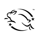 Color Bloom Liquid Blush-Real Deal